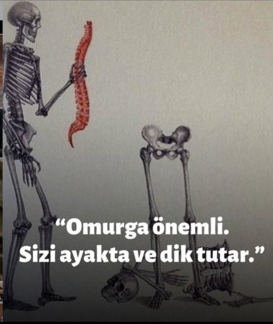 BOzdemir1903's tweet photo. @sokakkedisitv https://t.co/TKWg2wp4XQ