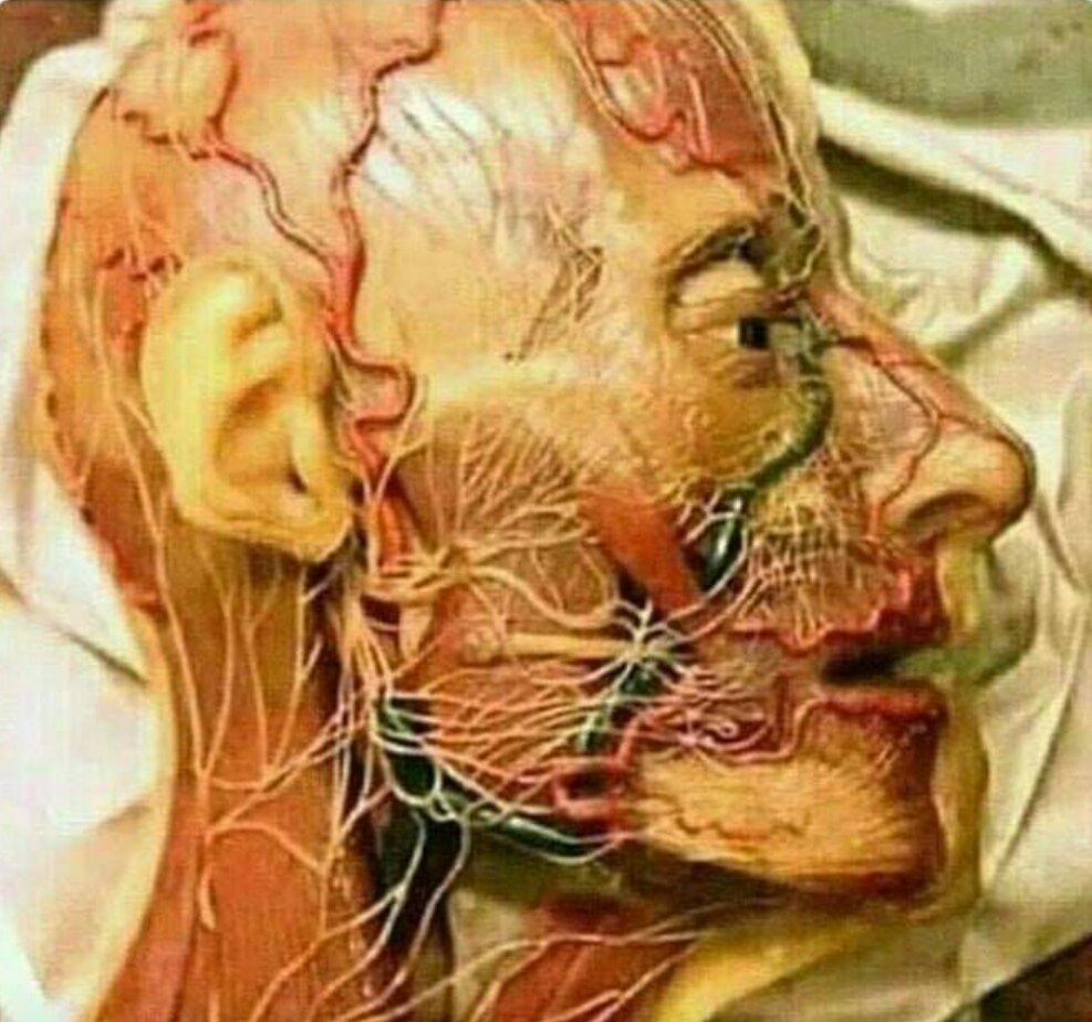 Faithforwardpk's tweet photo. Allah is the best engineer❤️💫 https://t.co/4usAqsWt3y