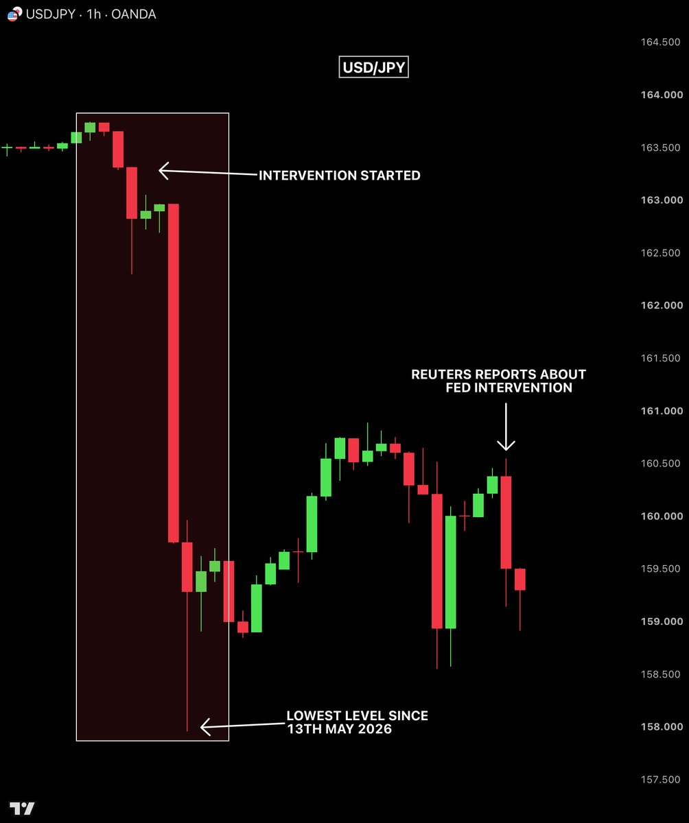 Bull Theory tweet media