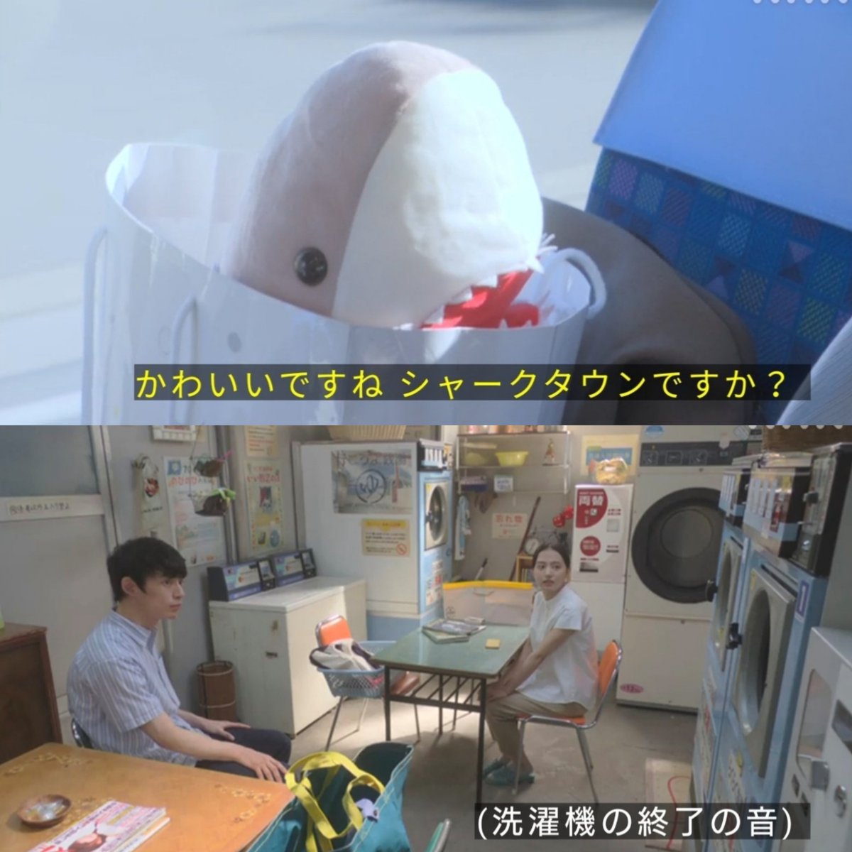 BbkjCl1Imo7Gb6Y's tweet photo. サメのぬいぐるみと
コインランドリーが揃ったら…ねぇ😌
(金10の録画観てます) https://t.co/QxQNwMeLk5