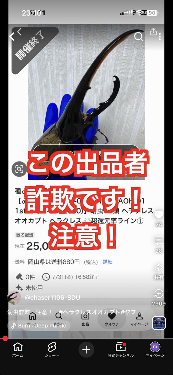 708n_m's tweet photo. 幼虫購入するのこわいなぁ😱 https://t.co/QaT9RWiQRs