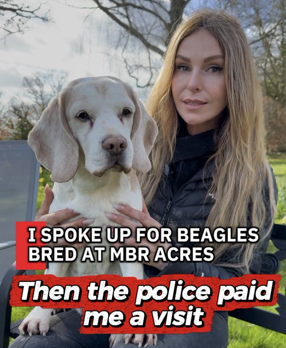 AnnekaSvenska's tweet photo. Two police officers came to my home because I spoke up for laboratory beagles.
MBR Acres complained about one of my Instagram reels and I was accused of an offence under the Online Safety Act.

My reel was based on evidence I believed to be genuine, including a Stericycle hazardous waste consignment note, whistleblower information and corroborating Home Office correspondence. I refused to admit guilt because I had done nothing dishonest.

After my solicitor explained the evidence behind my reel, Cambridgeshire Police took no further action and closed the investigation.

But the wider issue remains.

If people can face a police investigation for speaking on a matter of public interest, backed by evidence they believed to be true, then freedom of expression in Britain is under real pressure.

We should all be asking ourselves: what kind of country do we want to be? One where citizens can question powerful organisations without fear, or one where people begin to think twice before speaking because they worry the police may come knocking at their door?

It made me think of Orwell’s 1984. Not because Britain is that society, but because the fear of speaking freely is how societies begin to silence themselves.

My conscience is clear. I don’t lie. I speak from the heart and I do everything I reasonably can to ensure what I publish is evidence-based.

I will never stop standing up for animals, and I will never be intimidated into silence.

Free speech isn’t tested when everyone agrees with you. It’s tested when people have the right to question powerful interests without fearing the consequences. We must protect that right.

#FreeSpeech #Article10 #OnlineSafetyAct #AnimalWelfare #Beagles #MBRAcres #FreedomOfExpression #UnitedKingdom #breakingnews