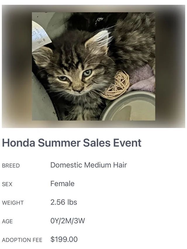 MemesOfCars's tweet photo. https://t.co/BuUdIhMUpP