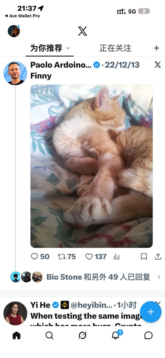 KGoldBitcoin's tweet photo. @zerokevo @pegdfun paolo cat.    Finny

0x7c793b3372fd53cc8c616aed9144e1c3b663321b https://t.co/MNBOlF4vOb