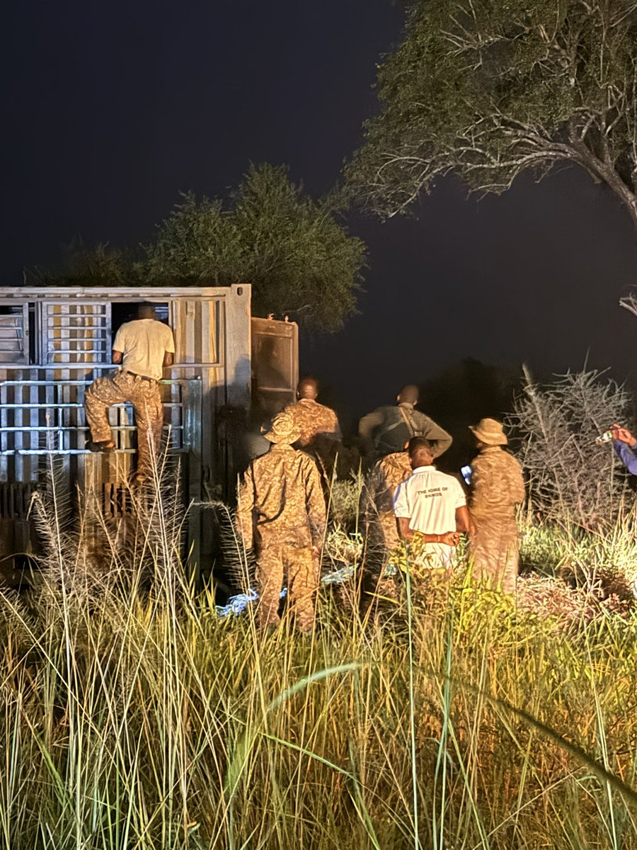 MChagara's tweet photo. To the protectors of the wild—thank you for your service. Your commitment to safeguarding our ecosystems and endangered species does not go unnoticed. Happy #WorldRangerDay!
#conservation #RangerDay #ConservingForGenerations #Wildlife https://t.co/uqrOtQsmxA