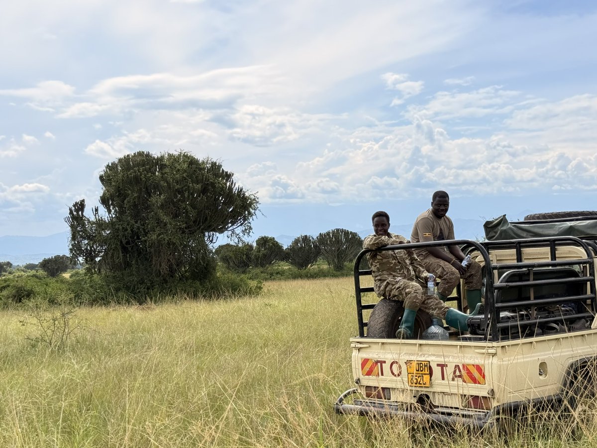 MChagara's tweet photo. To the protectors of the wild—thank you for your service. Your commitment to safeguarding our ecosystems and endangered species does not go unnoticed. Happy #WorldRangerDay!
#conservation #RangerDay #ConservingForGenerations #Wildlife https://t.co/uqrOtQsmxA