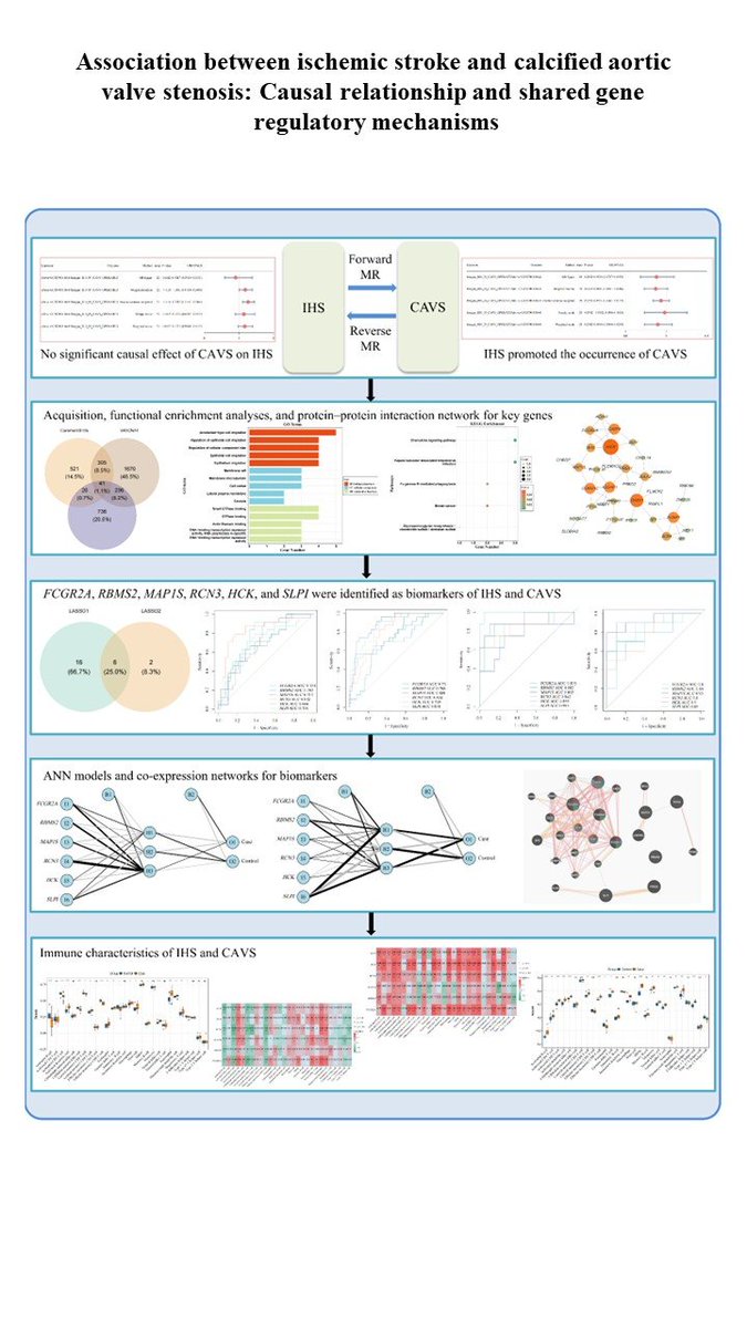 ejmo_asp's tweet photo. 🧬Relationship between ischemic stroke and calcific aortic valve stenosis evaluated using Mendelian randomization and transcriptomic analysis
🧩Keywords：Ischemic stroke
Calcific aortic valve stenosis
Mendelian randomization
Biomarker
⛓️Link：https://t.co/6SJMDwFwoM https://t.co/bL9ZtrvkkM