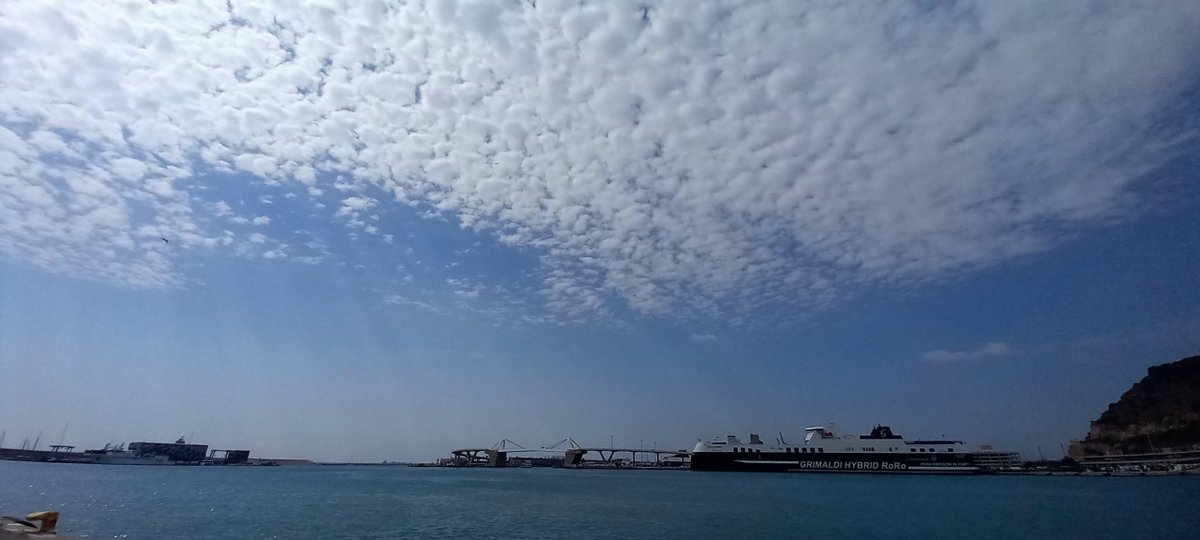 BonsEnric's tweet photo. Cel cabretes avui al Port de Barcelona. https://t.co/8i0M32bmvX