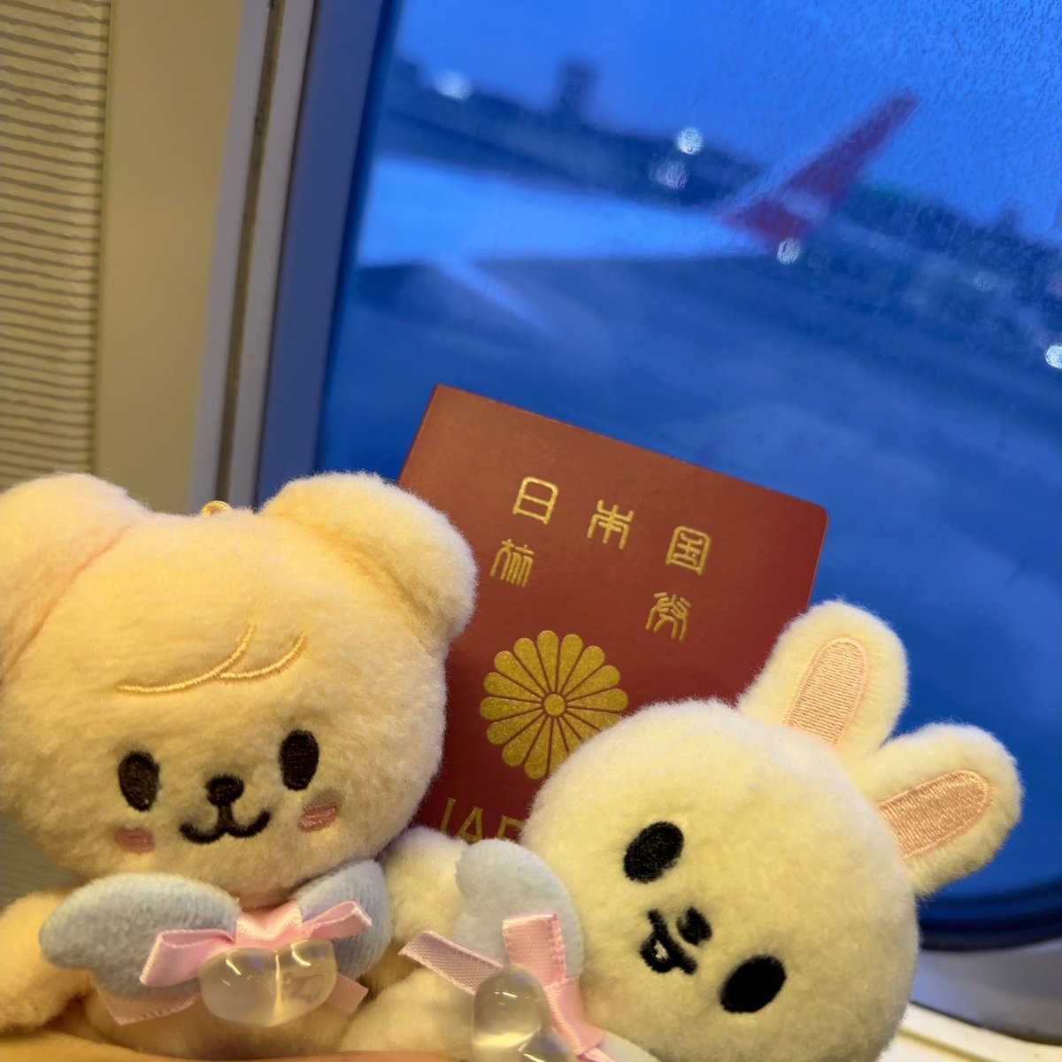 usawan_hapi's tweet photo. 行ってきまする🏃🇰🇷🧡 https://t.co/53t7JLS6Ib
