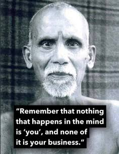 Ananda tweet media