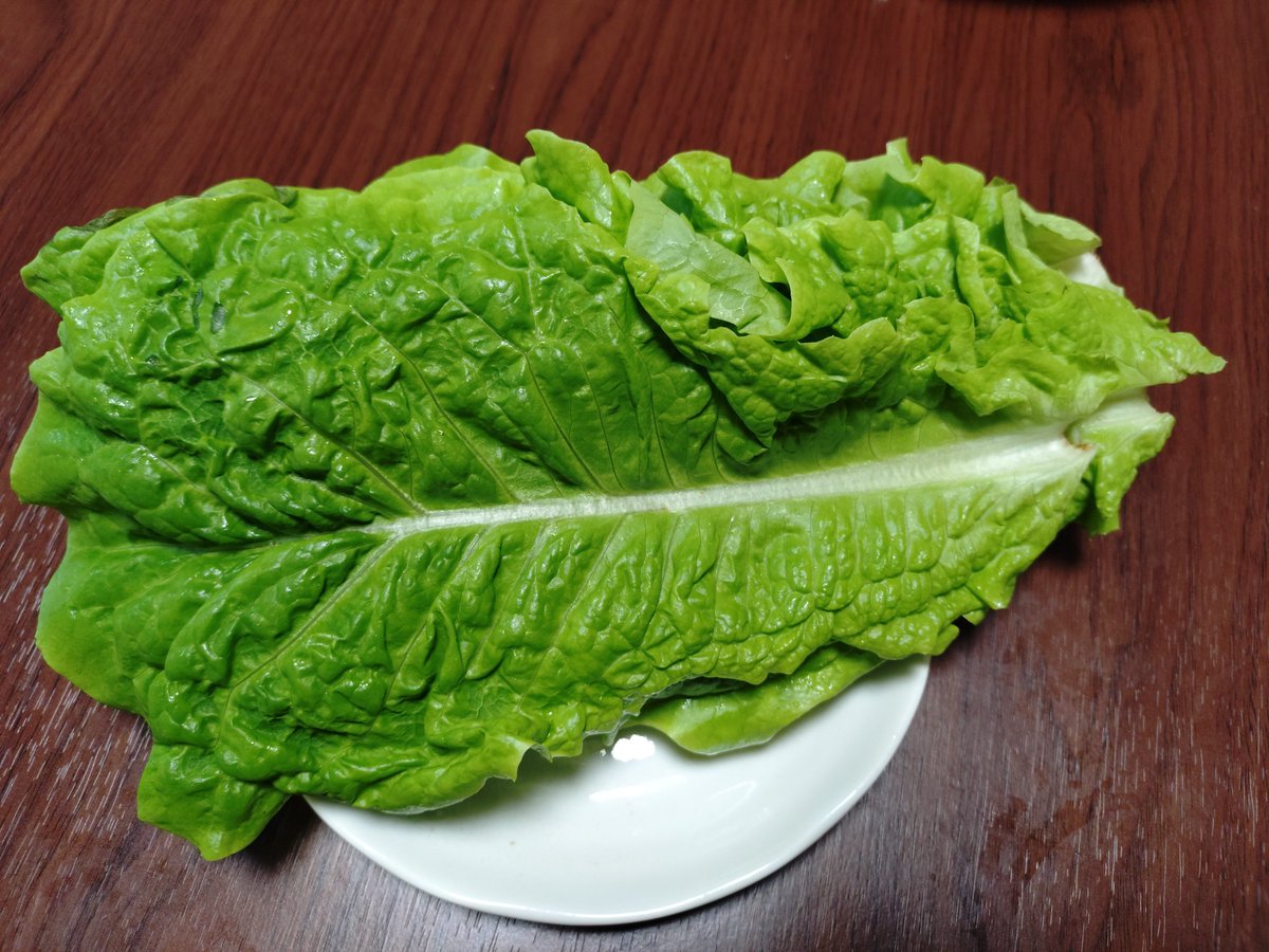 shachiku_otehon's tweet photo. お夕飯は巨人のピッチャー https://t.co/EEp7jqvdo1