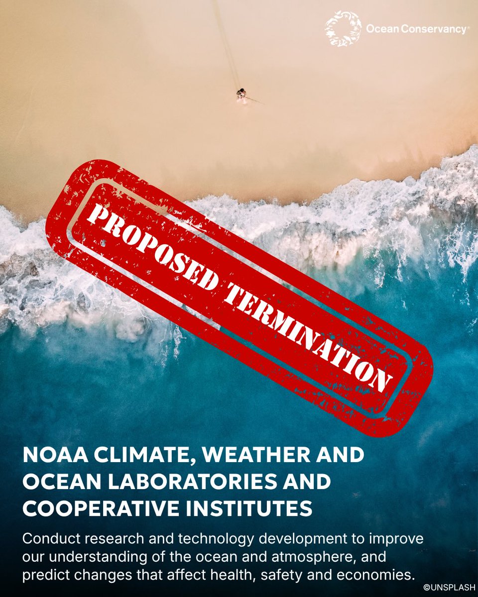 oceanconseocef's tweet photo. https://t.co/KnQR5B1lD2