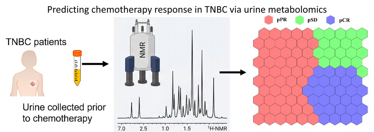ejmo_asp's tweet photo. 🧬Prediction of response to neoadjuvant chemotherapy for triple-negative breast cancer using nuclear magnetic resonance-based urine metabolomics and self-organizing maps
🧩Keywords：Triple-negative breast cancer
Nuclear magnetic resonance
⛓️Link：https://t.co/Iz87EJxHbr https://t.co/eYMvUXhBAu