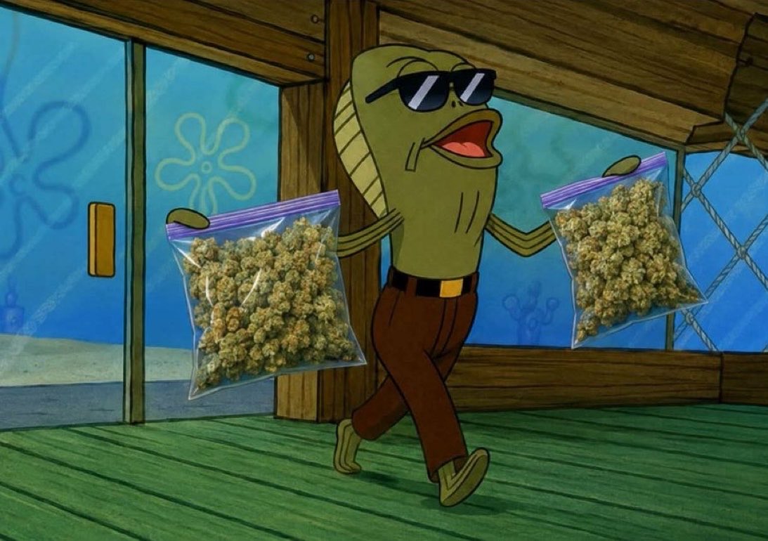 offixial_ranky's tweet photo. Stoners Immediately they get paid https://t.co/wFIMYvQ2Wn