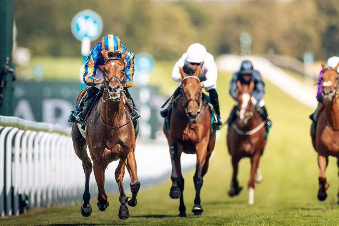blindadosalas1's tweet photo. #Hipismo El paso perfecto para DIAMOND NECKLACE 🇮🇪 Invicta (6) Ganadora de cuatro #GradeOne consecutivos: #PrixMarcelBoussac #PouleDEssaiDesPouliches (1.000 Guineas Francesas) y ayer el #NassauStakes
Otra obra maestra del @Coolmore y el Maestro AIDAN O´BRIEN @AOBrienFanSite https://t.co/sWvm8BeuKU