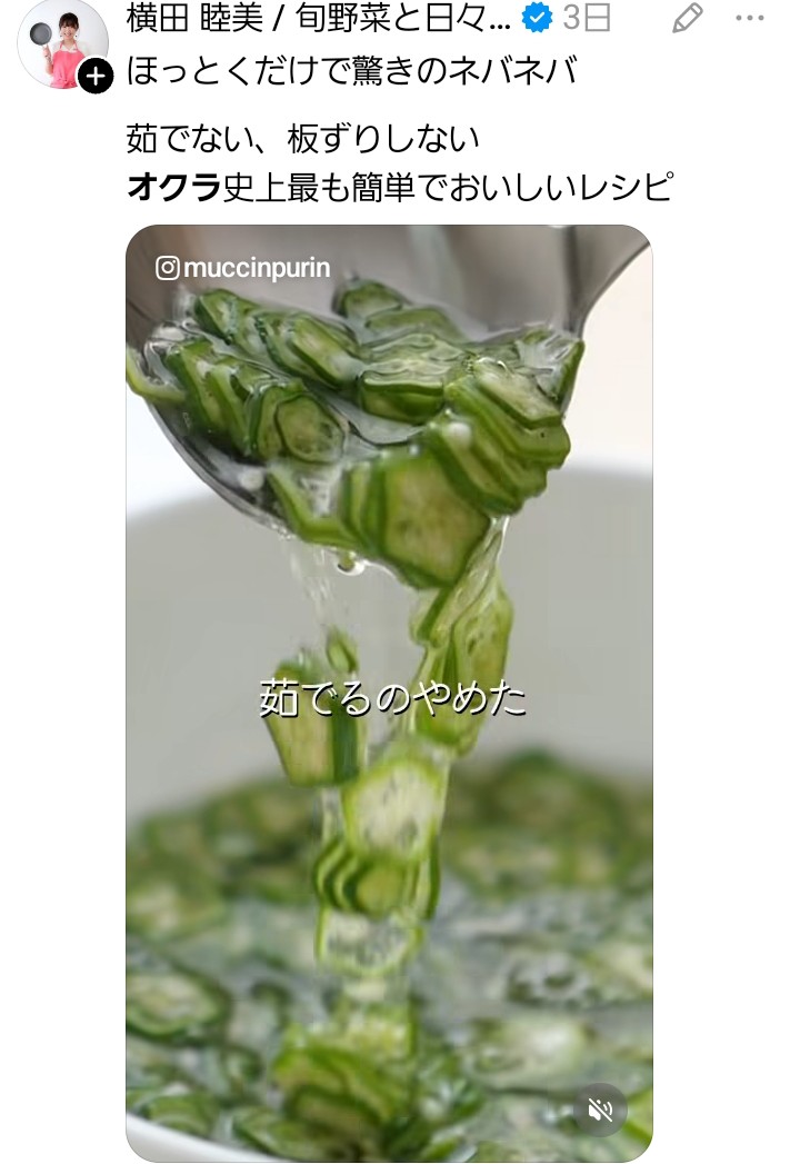 qqq_senbe's tweet photo. 最近オクラにとてもハマてる。
刺身とはまだ食べてないけどこれめたうま…オクラ好きだったけど茹でるのが今まで嫌でたまにしか食べなかったり冷凍買ってうーん。と思ってきたけどこれに巡り会いこの夏私は作りまくってる🥹ᩚ
水おくら最高😭明日もオクラ買う👍 https://t.co/MczBxisXPh