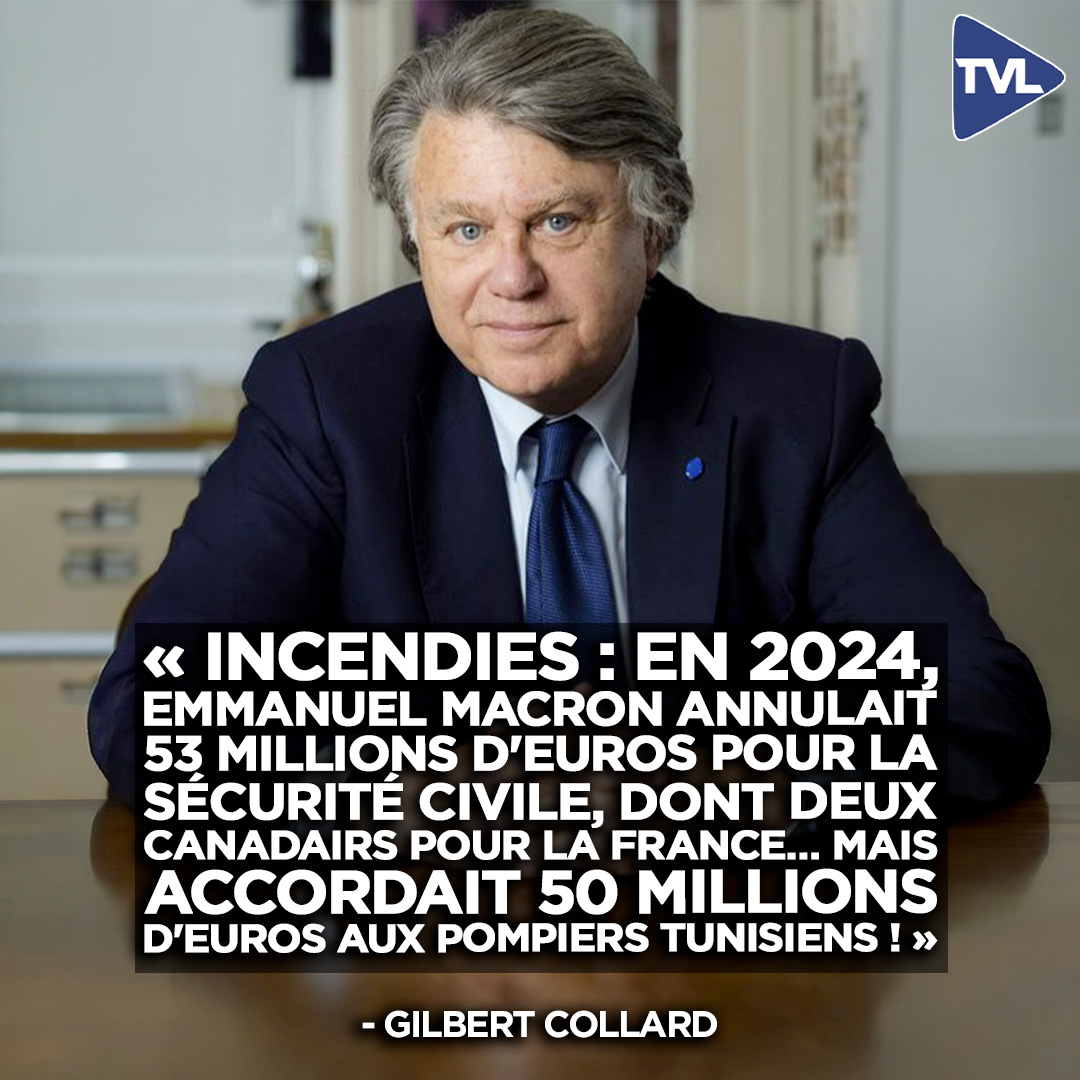TVL tweet media