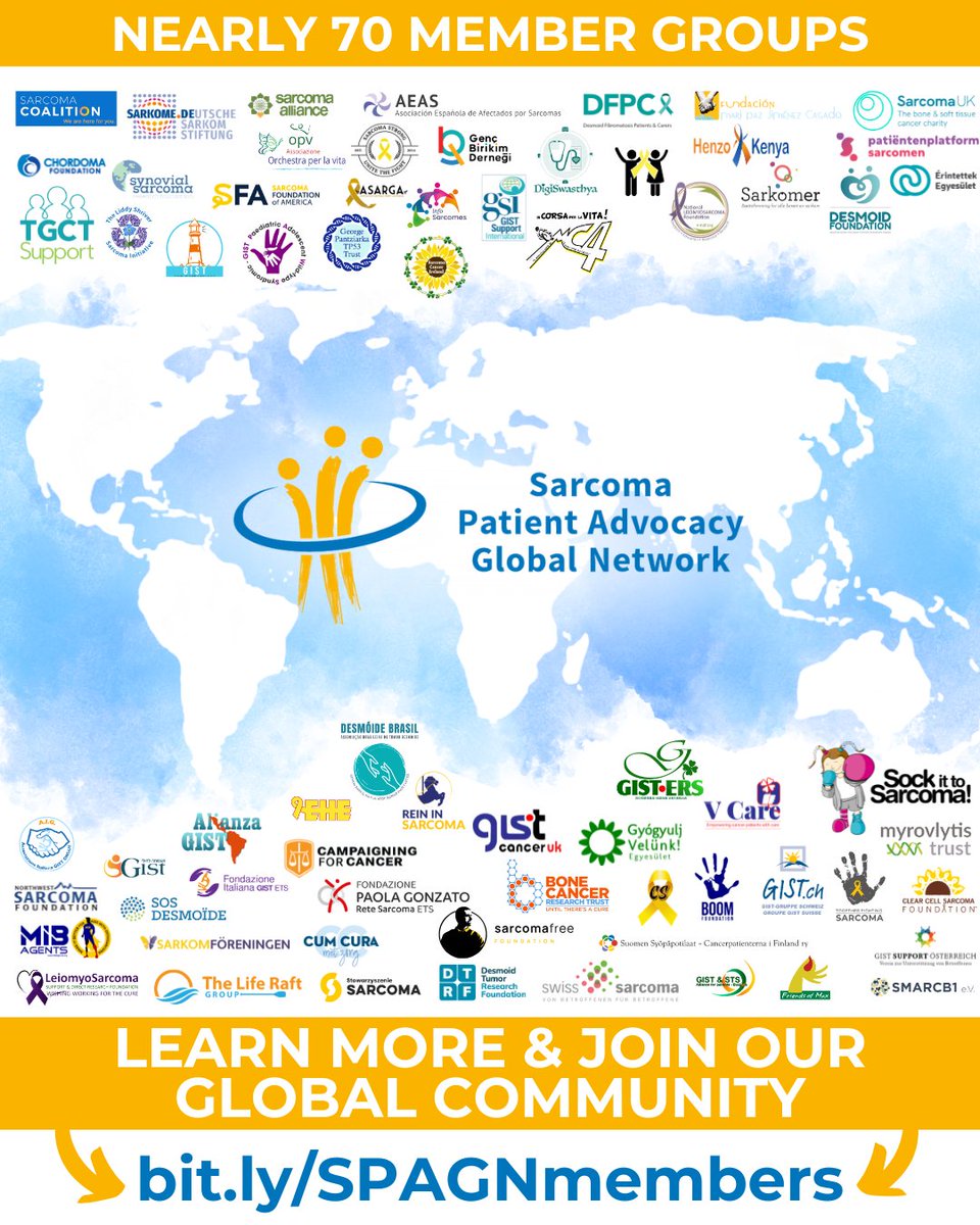 reininsarcoma's tweet photo. As Sarcoma Awareness Month comes to a close, RIS is proud to stand with the global sarcoma community through our membership in SPAGN (Sarcoma Patient Advocacy Global Network). 

While sarcoma may be rare, no one facing it should feel alone.

 #SarcomaAwareness #RareCancer #SPAGN https://t.co/uSY0V1Ct16