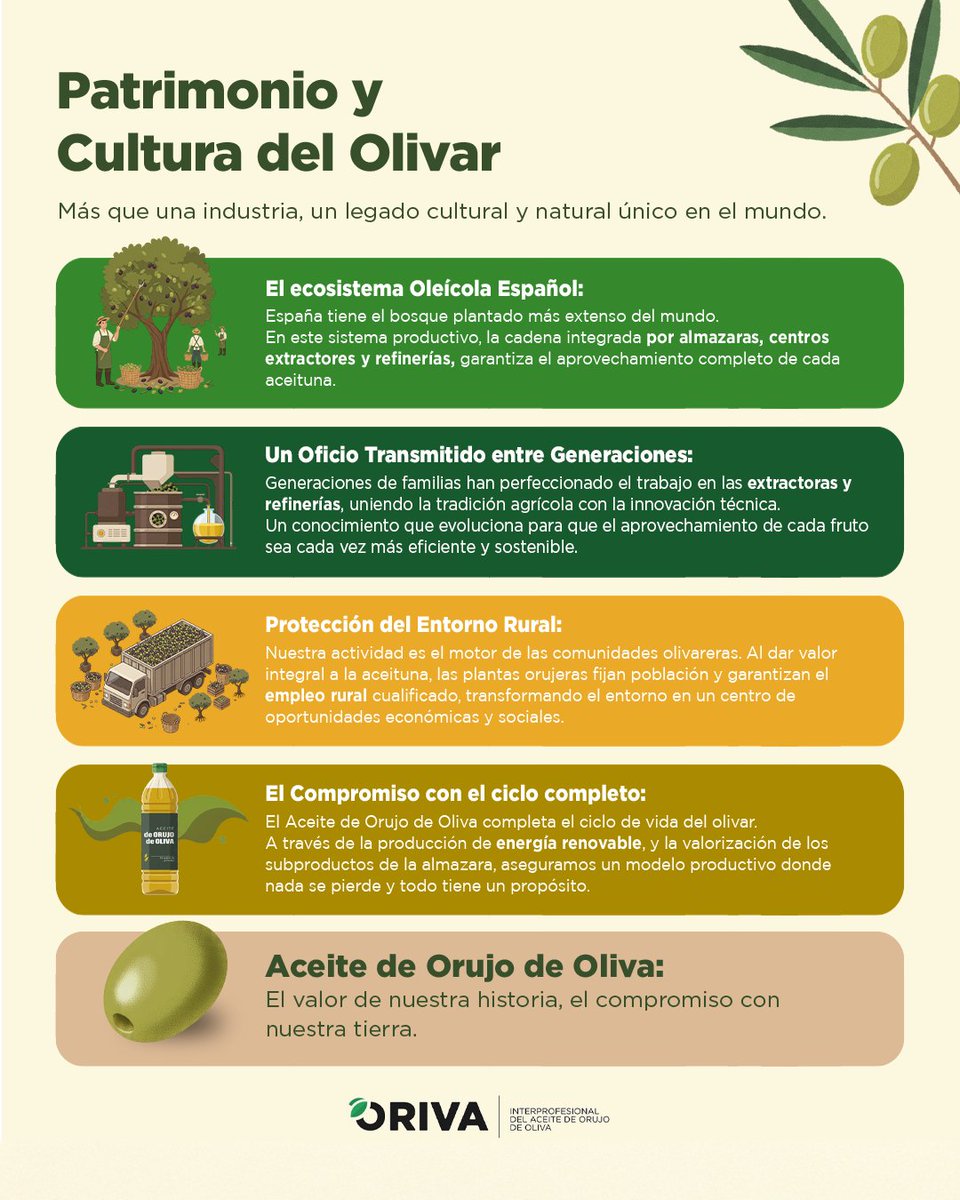 AceiteOrujo's tweet photo. Hay un saber que se hereda de generación en generación: cómo valorizar cada fruto y  cómo respetar el árbol. 💚

El #AceiteOrujoOliva es el ejemplo de ese conocimiento ancestral, modernizado para ser cada vez más eficiente y sostenible.🫒

#CulturaDelOlivar #TradiciónyTecnología https://t.co/rtamihKR7I