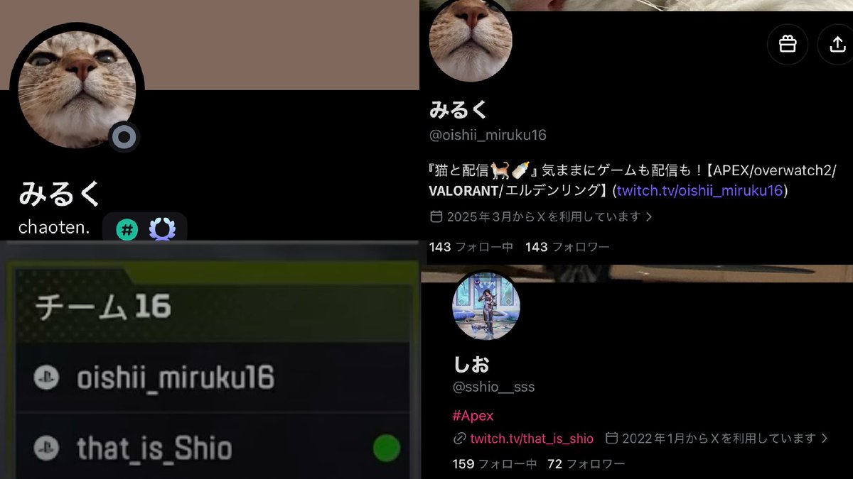 Sinon_0821_GGO's tweet photo. こないだのカスタムの件で
主催者からは謝罪があり同じチームメンバーの
発言や主催者自身の言動など認めておりdmで
主催者からは謝罪が来ましたのでもともと
情報共有する予定でいましたが
今後のカスタム開催で改善をする事を見届けていく事にしました

なお私はチーム16のこの2人から
暴言などいわれとても不愉快であり
私自身を侮辱されてとても不愉快です
何より配信しててこの言動はね

なお他の方のアーカイブも同じく煽る人も何人かみられてるので
気をつた方がいいなと思いました

あまりしたくはないですが情報共有をする事にします
他のカスタムに参加する際に知っといた方が
平和であり安心だと思います
その他もし野良で来た際も少しは安心かなと

今度　コメントしにいく時間あったら
この みるくとか言うマンブー女の配信いくから覚えとけよな
男の方も同じ

#APEXカスタム
#APEX
#Twitch配信 #YouTube配信 
#拡散希望 #拡散RTお願いします