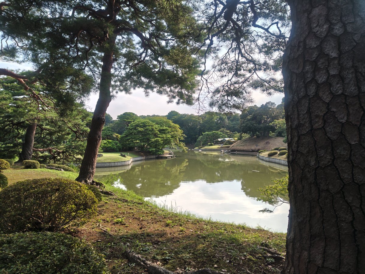 geobicycle's tweet photo. 今日は東洋文庫→六義園→4件探索
酷暑のおかげで六義園をほぼ独り占め！
ここも名前だけ知ってるだけだったけど
広さに衝撃
トンボとカラスがめちゃ多い

数学系の問題ってホント分からない……三角関数で数学脱落した人間にとってPIとか難易度8割増しですよ（涙）
#geocaching #ジオキャッシング https://t.co/GIU7nUZTI5