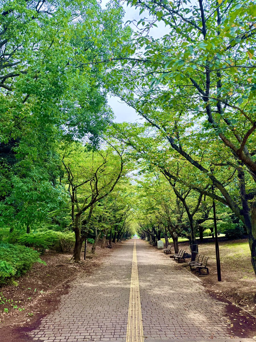negitoro365's tweet photo. ◽️葛西臨海公園
園内ぶらぶら https://t.co/IFikfWWzNC