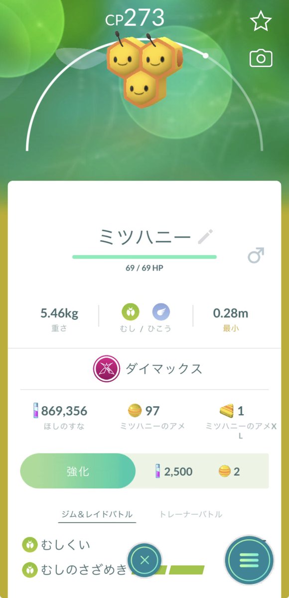 T0nA_ToN4's tweet photo. 明日のキョダイゴリランダーのタンク役にビークインがいいと聞いたので捕まえたら♂で萎え😤😤😤 https://t.co/V34gQfpoyV