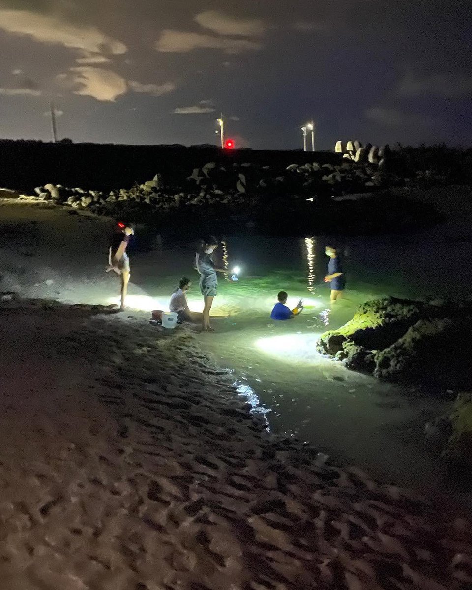LEGOTOYS_J's tweet photo. 最喜歡夏天去海邊夜抓
小小的螃蟹/海星/魚魚
都超可愛又療育
還可以看到其他人在旁邊泡水
嬉鬧玩水的聲音
整個海邊都像PARTY

不過要碰運氣看有沒有漲潮
真的是讓人到現場很緊張
萬一漲潮了... 就要開一個多小時回台北了

#海邊 #抓蝦魚 #夜抓就是好玩
#語蕎小森日 https://t.co/Bxt7jhO9J9