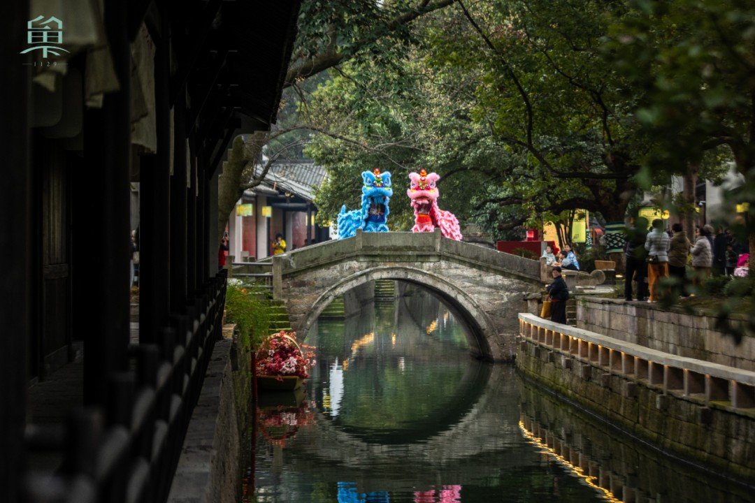 shui_han_'s tweet photo. Discover Liuxia Old Street's magic in the rain! Wander through history on an 800-year #Song bridge, shaded by ancient camphor trees and surrounded by Song Dynasty wonders. 🥰🥰🥰#WeLoveZhejiang #TimelessChina https://t.co/URouyzB8Vk