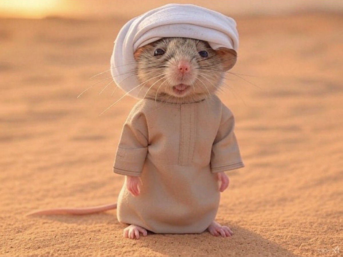 Azooap57's tweet photo. @x_uae71 هههههههههههههههههههه 
مشكلة لما تشوف نفسك كبير وانت هذا حجمك الطبيعي https://t.co/aMVKN2em6R