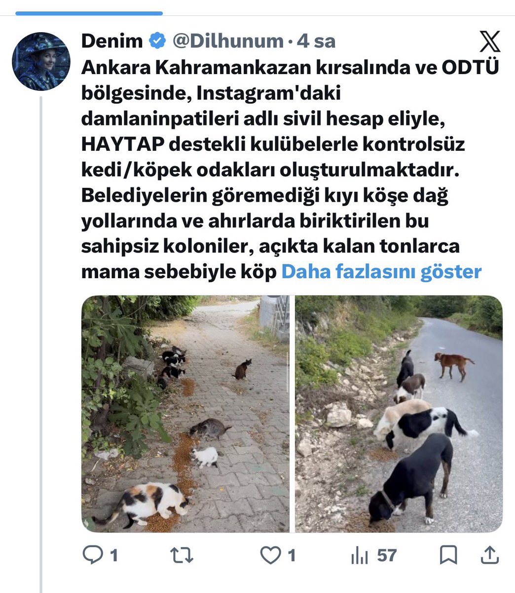 Srpulsy's tweet photo. Yer ve foto paylaşarak kedi ve köpekleri hedef gösteren bu hesabı engelleyin lütfen.
@HaytapOrg https://t.co/d7zjWdY3na