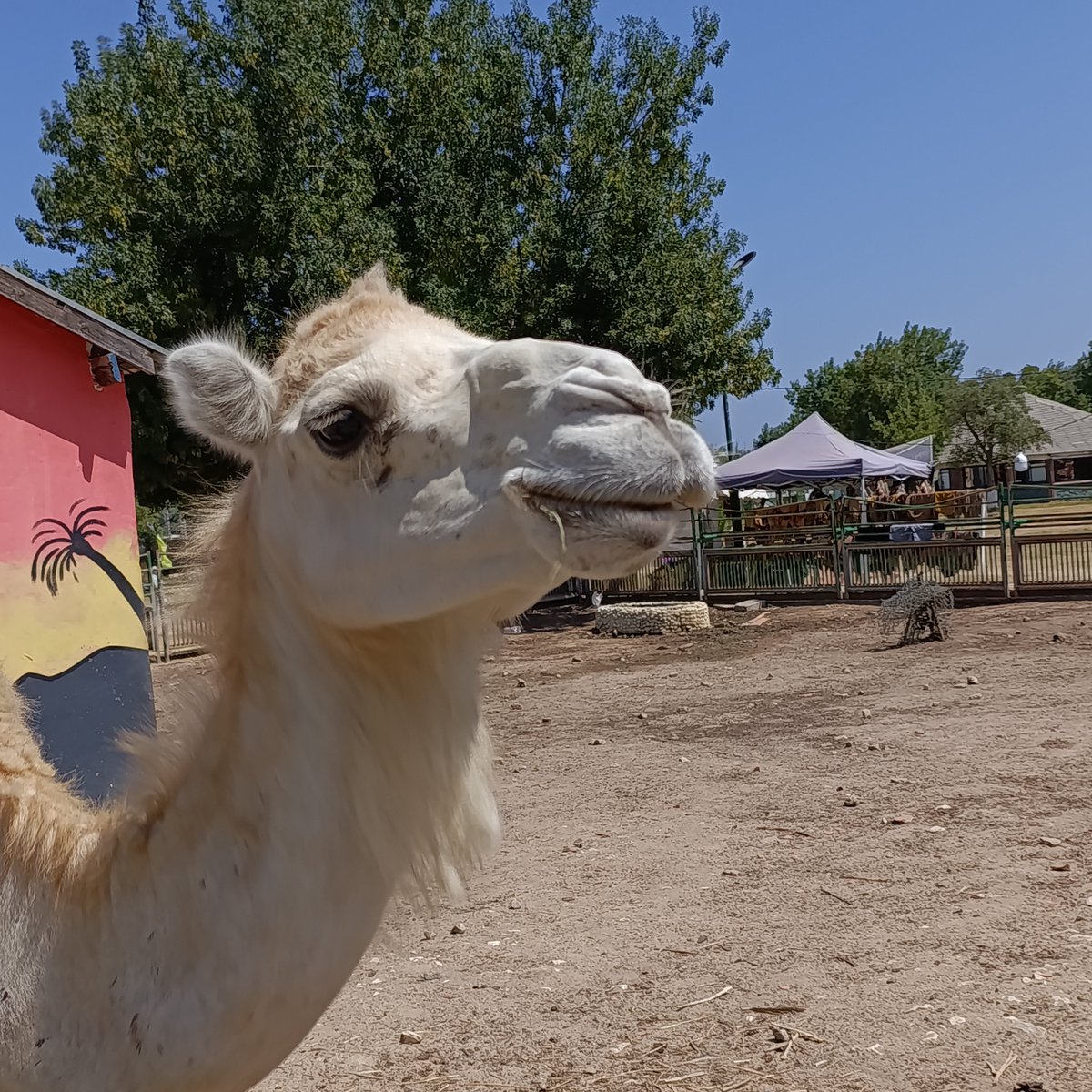auclair_2lalune's tweet photo. At the #zoo rn https://t.co/JmmXTDIUgr