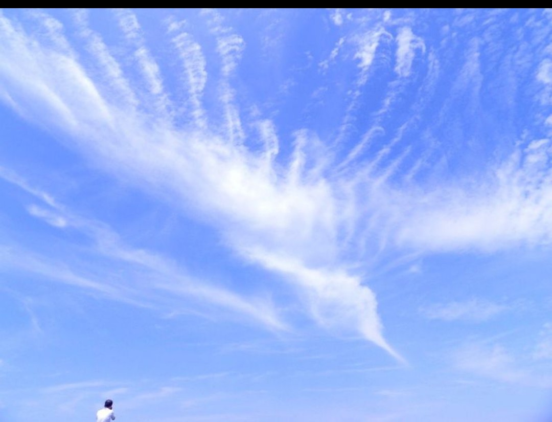 tamon4040's tweet photo. アメブロを投稿しました。
『美瑛の空に鳳凰を見た。 そして 応援のお願い』
#アメブロ
#ギター https://t.co/ieconUFcZD https://t.co/h3TQnPWHwf