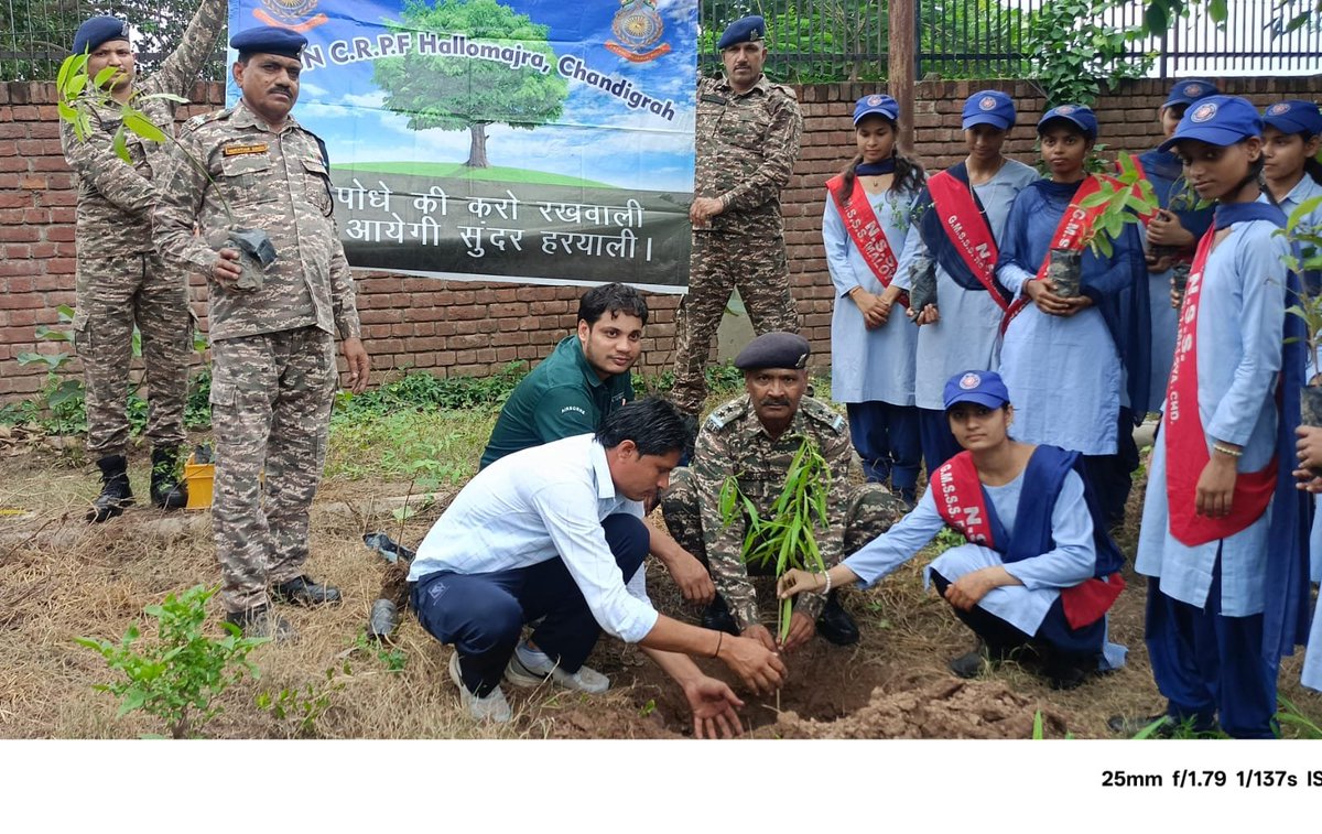 51Crpf's tweet photo. Today, a plantation drive was conducted by F/51 at two schools, Government Model Secondary School, Maloya, &amp; PM Shri Government Model Senior Secondary School, Sector-14 (West), with the cooperation of the school staff and students.
Green India
#Vanmahotsav#
#एक पेड़ मा के नाम🌳# https://t.co/fzjStxOzWo