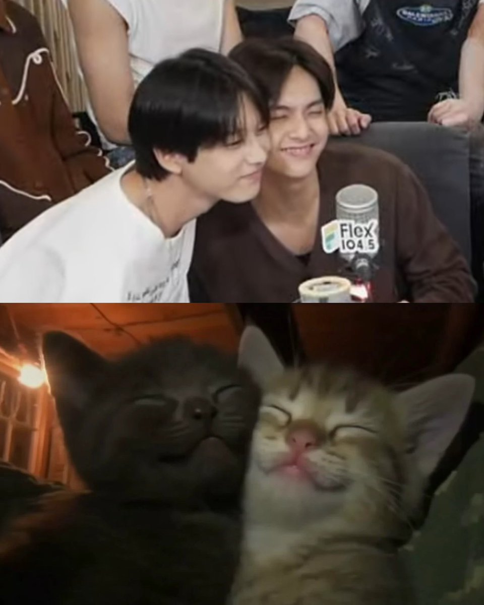dapreepunn's tweet photo. เป๊ะ🐈🐈‍⬛

#COPPERdechawat 
#NEXnattakit 
#Flex1045xBUS_รักมักยาก
#นิสิตทาดาไปหาพี่สื่อ https://t.co/Hqa7s4TZO3
