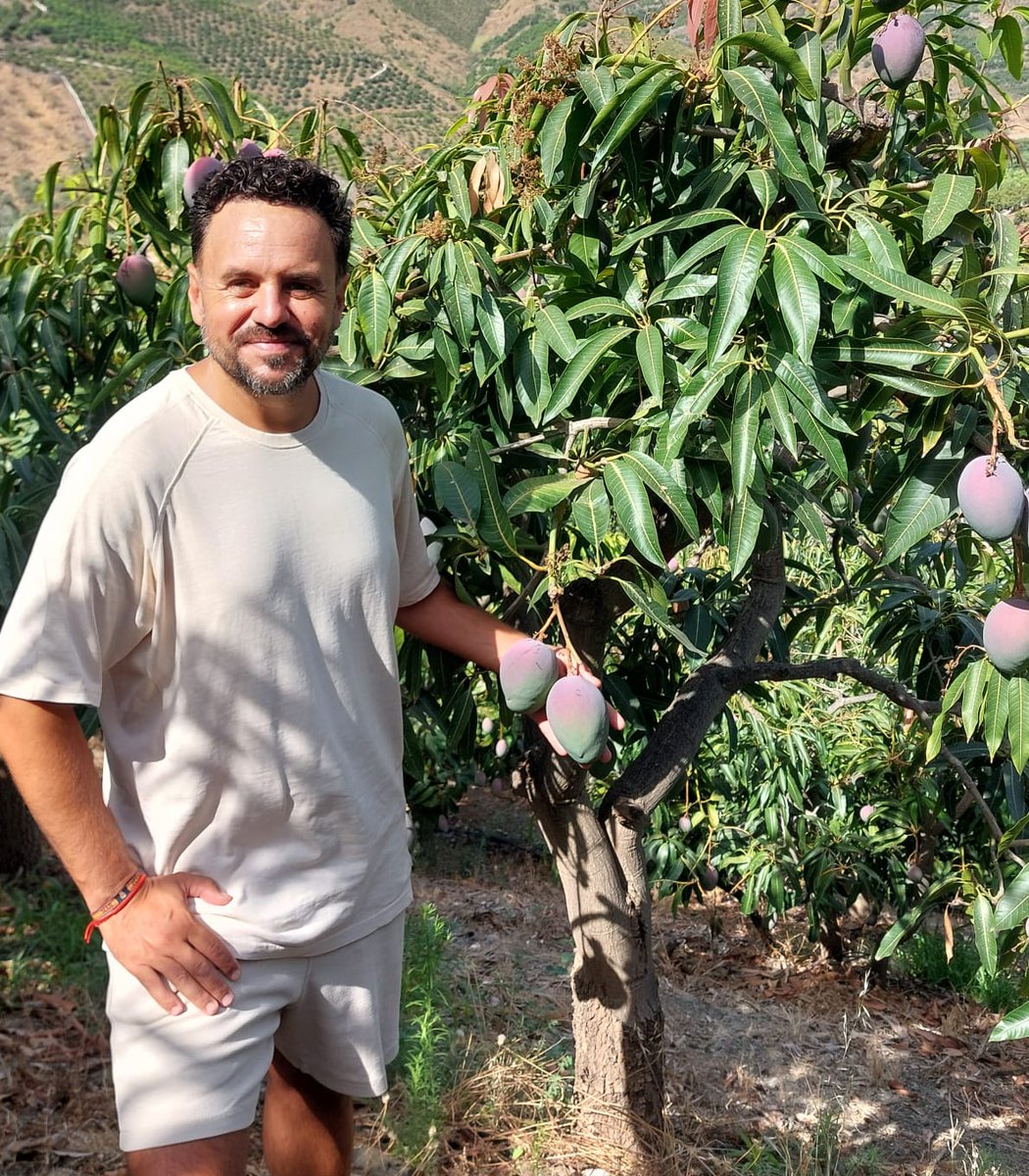 CoagMalaga's tweet photo. 🥭🌱 Francisco Jiménez, agricultor de Benamargosa (Axarquía) con más de 20 años cultivando mango y aguacate, asume la responsabilidad de los subtropicales en @CoagMalaga
"Afronto esta responsabilidad con el compromiso de defender nuestros intereses" 
👉https://t.co/18nALNVoBI https://t.co/DUqrqGI2cM