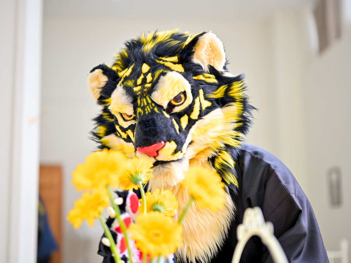 금호琴虎クムホ🐯🔜FUR:RAID tweet media