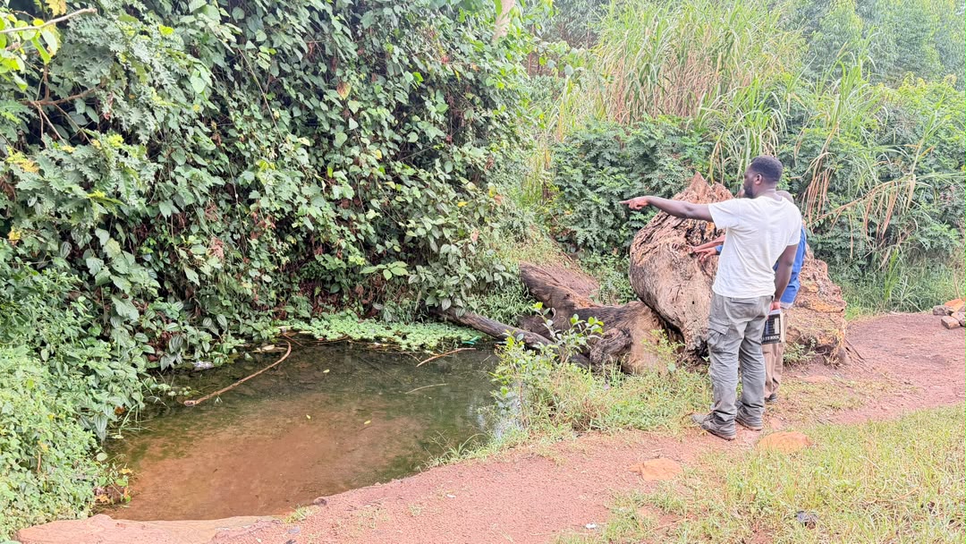 PaCT_UG's tweet photo. Our Executive Director @kinaalwajeff visited ongoing projects, including a soon‑to‑be completed protected spring. Together with PaCT, @rcmx88 , @Rotary, &amp; we’re building safe, reliable water access for families.

👉 Be part of the change: https://t.co/IoEDeSSXBv 💙 https://t.co/VseqjeknVk