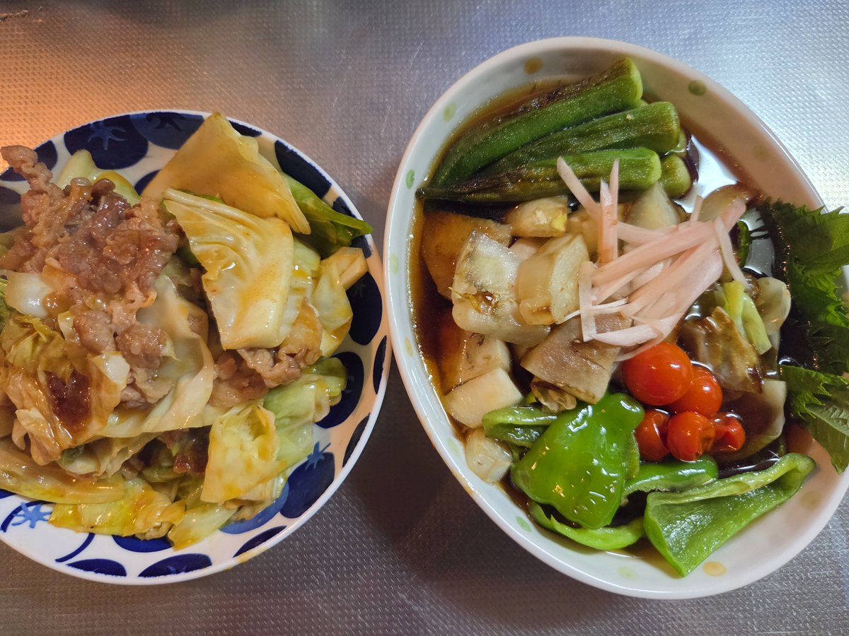 full5963's tweet photo. 野菜の焼きびたしと
味付け肉とキャベツ炒めたの！

野菜の焼きびたしは冷蔵庫で
冷やしてもおいしいのです

本日も配信ご視聴に感謝！
ありがとうございました～ https://t.co/NqpoBYsDA4