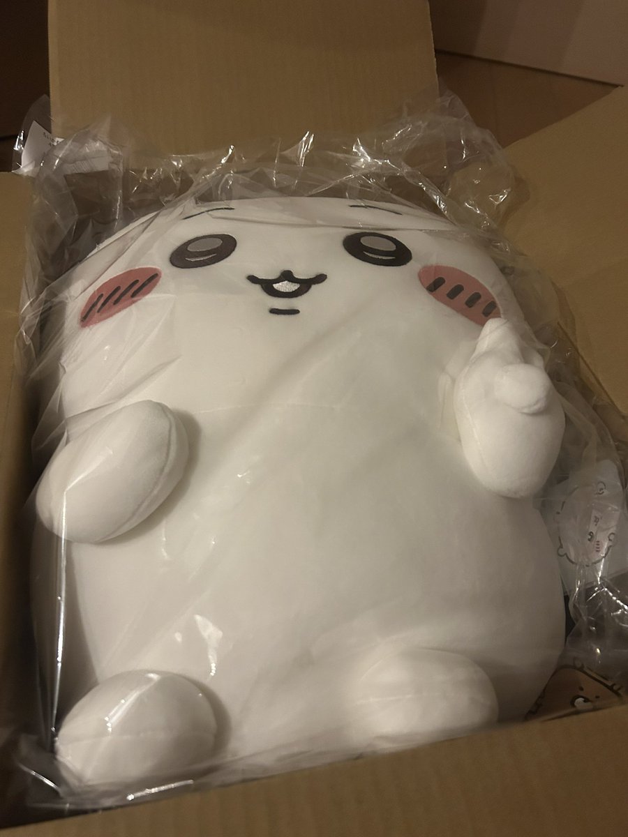 seki_619's tweet photo. ちいかわだらけクジ届いたんだけどA賞デカすぎて他が小さく見える https://t.co/gGPkXNN639