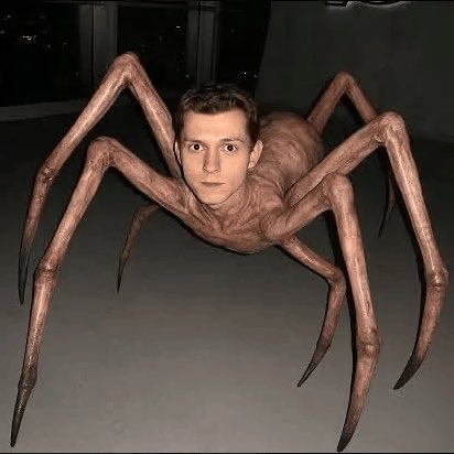 bellbearinghunt's tweet photo. First thing you see before getting slimed in the Nightmare of Mensis https://t.co/Vs5t270zEN