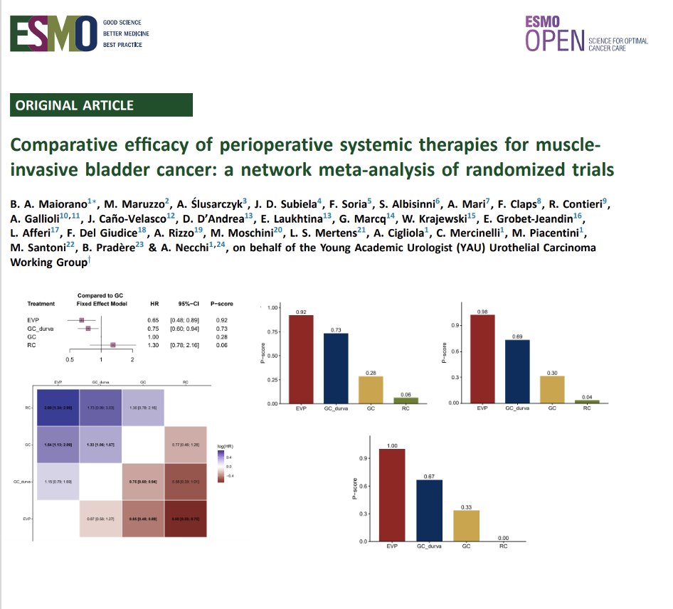 ESMO_Open's tweet photo. Comparative efficacy of perioperative systemic therapies for MIBC: a network meta-analysis of randomized trials in @ESMO_Open. Improved OS with EV/GC + durva vs GC. Although indirect comparative estimates, EV ranks highest across OS, EFS, and pCR. https://t.co/qQUQ4ZG8X6 https://t.co/iGlQOT3GAl