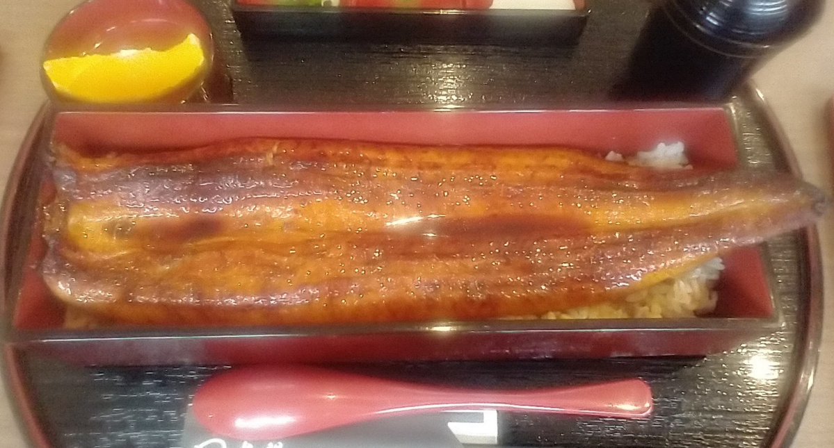 kiitechoodai's tweet photo. 鰻も食べたし梅干しも干せたし、よかったよかった😊 https://t.co/0mxpROv6xS