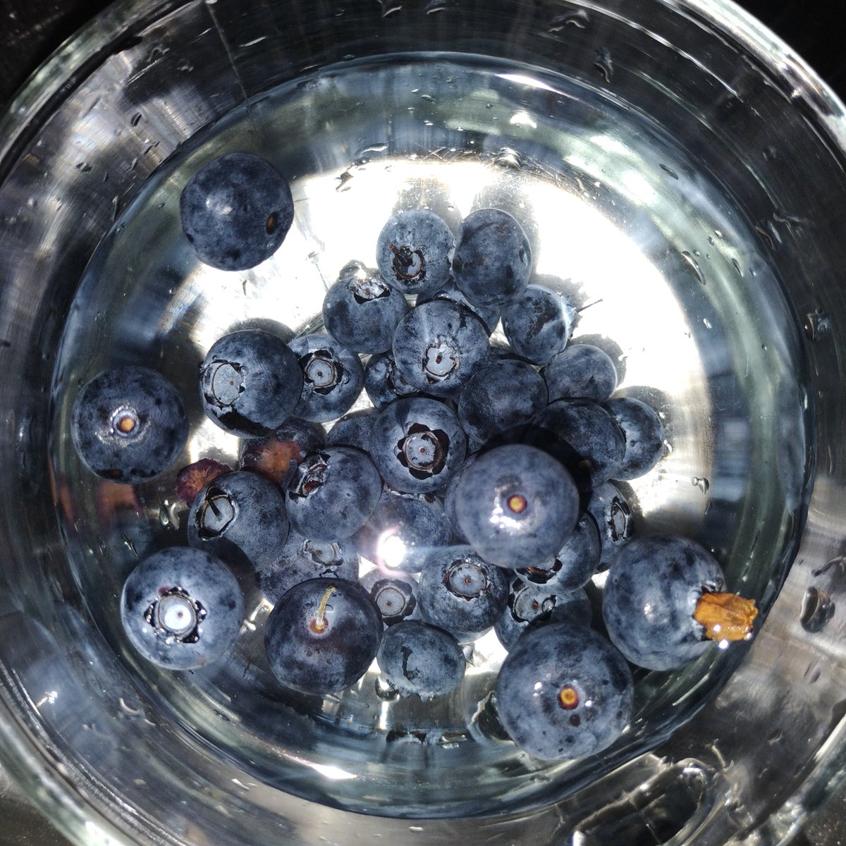 IAMJamena's tweet photo. 👁️🗨️APParently
#BLUEberry🫐
Buoyancy Denotes: pOOr Taste🥺👎🏾💦🫐💦
+
sinKING #BLUEberries Are Rich Ripe&swEEt🫐
💫🤓#NewToMe💫🫐👁️🗨️🫐 https://t.co/qxgqdbINgF