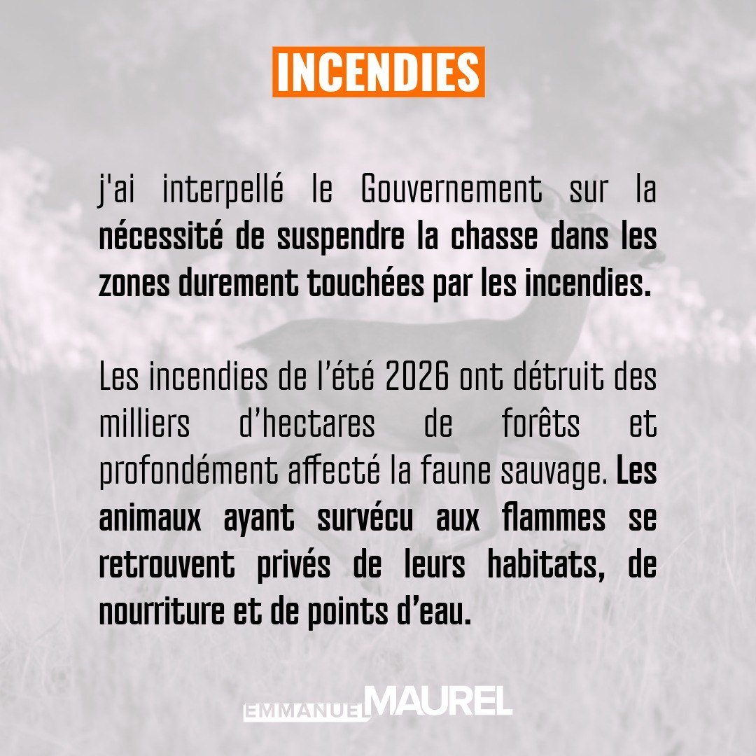 emmanuelmaurel's tweet photo. 🔥🦌 Je demande au Gouvernement de ne pas autoriser l'ouverture de la chasse dans les zones touchées par les incendies #directAN #Biodiversité https://t.co/rC0JOCi18u