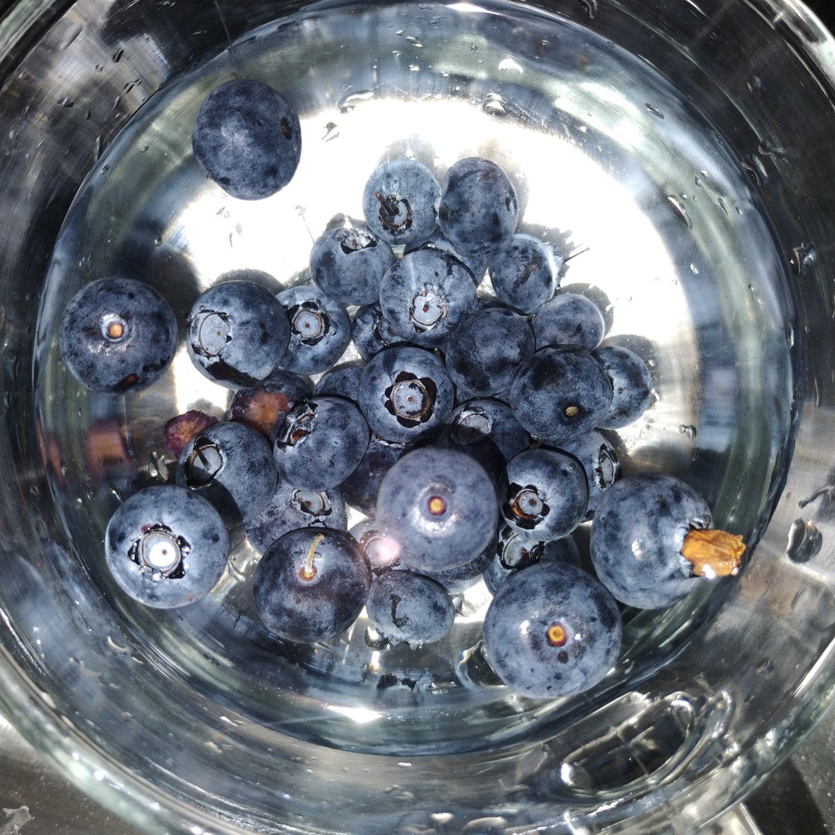IAMJamena's tweet photo. 👁️🗨️APParently
#BLUEberry🫐
Buoyancy Denotes: pOOr Taste🥺👎🏾💦🫐💦
+
sinKING #BLUEberries Are Rich Ripe&swEEt🫐
💫🤓#NewToMe💫🫐👁️🗨️🫐 https://t.co/qxgqdbINgF