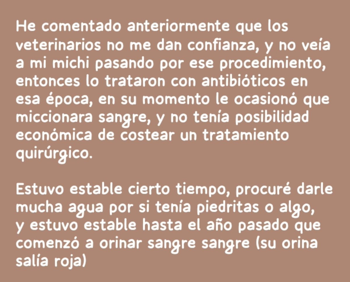 ArctiaR's tweet photo. Gracias a los que pasaron al stream de hoy, les dejo un resumen de lo que platique hoy sobre mi mascota, la cuál ocupa cirugía por cálculos en su vejiga

Pd: Son 4 am, no aguanto los ojos https://t.co/afECFgaLYK