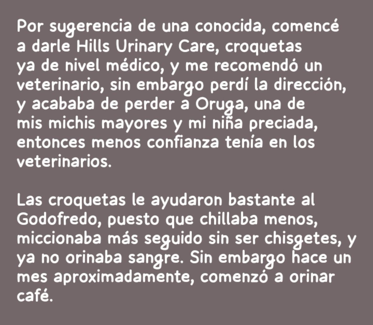 ArctiaR's tweet photo. Gracias a los que pasaron al stream de hoy, les dejo un resumen de lo que platique hoy sobre mi mascota, la cuál ocupa cirugía por cálculos en su vejiga

Pd: Son 4 am, no aguanto los ojos https://t.co/afECFgaLYK