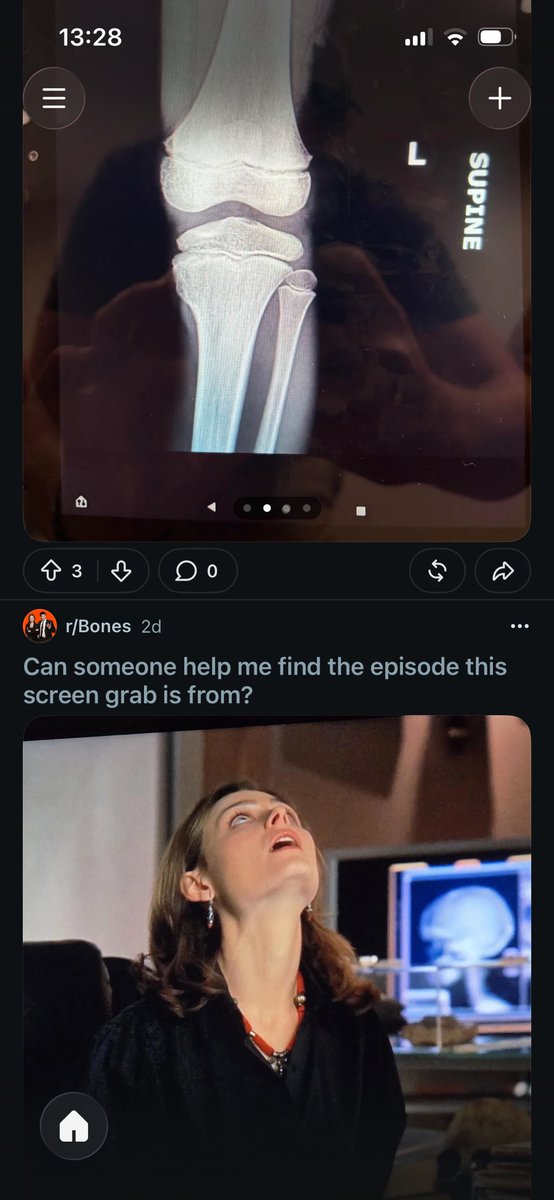 alythetinytail's tweet photo. Best coincidence ever https://t.co/kZTlJhPMvW