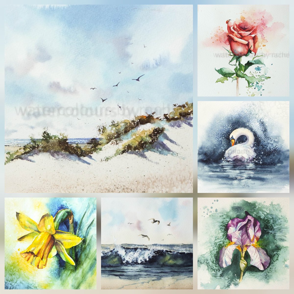 Elidanza's tweet photo. ***SALE*** I have added these SIX SQUARE ORIGINAL watercolours to my website, they are all JUST £60 each ( normally £95) and are all 21cm x 21cm
Go on treat yourself, they are all available on my website....
https://t.co/qrFO6F1utx
#watercolours #sale #havealook #buyart #art https://t.co/DrnWSwqhWR
